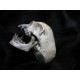 Beast Skull Ring with Jaw and Fangs